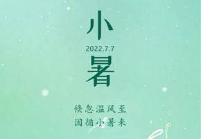 嵐泊灣丨蟬鳴聲聲小暑至，閑坐瓜田等風(fēng)來(lái)